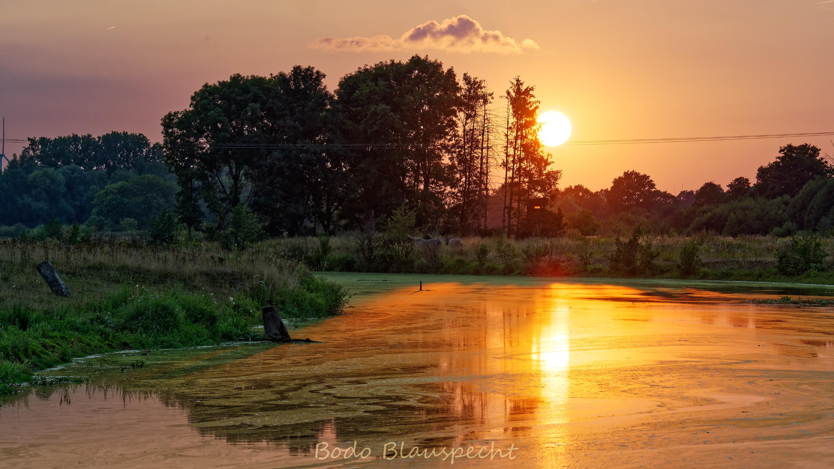 Landschaft   Steveraue   2022.08.18 20.33 61 HQ